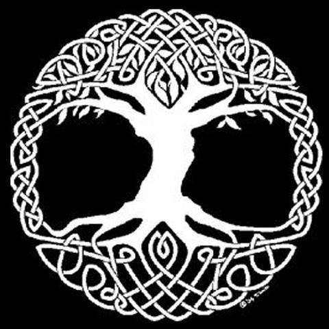 cytosyn