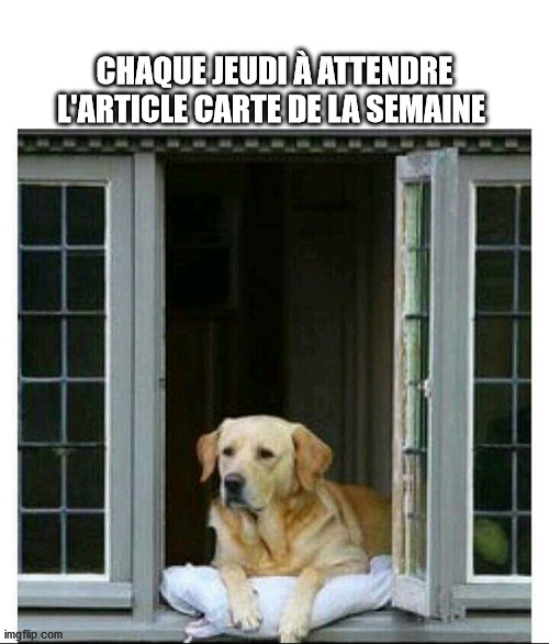 meme%201.jpg